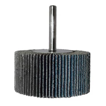 04024020060001    Csapos lameller 40x20x6 P60 inox
