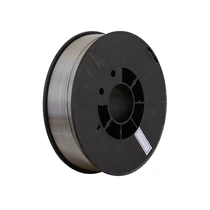 6WWFLXC0905   Huzal porbeles IWELD 0,9 mm 5kg